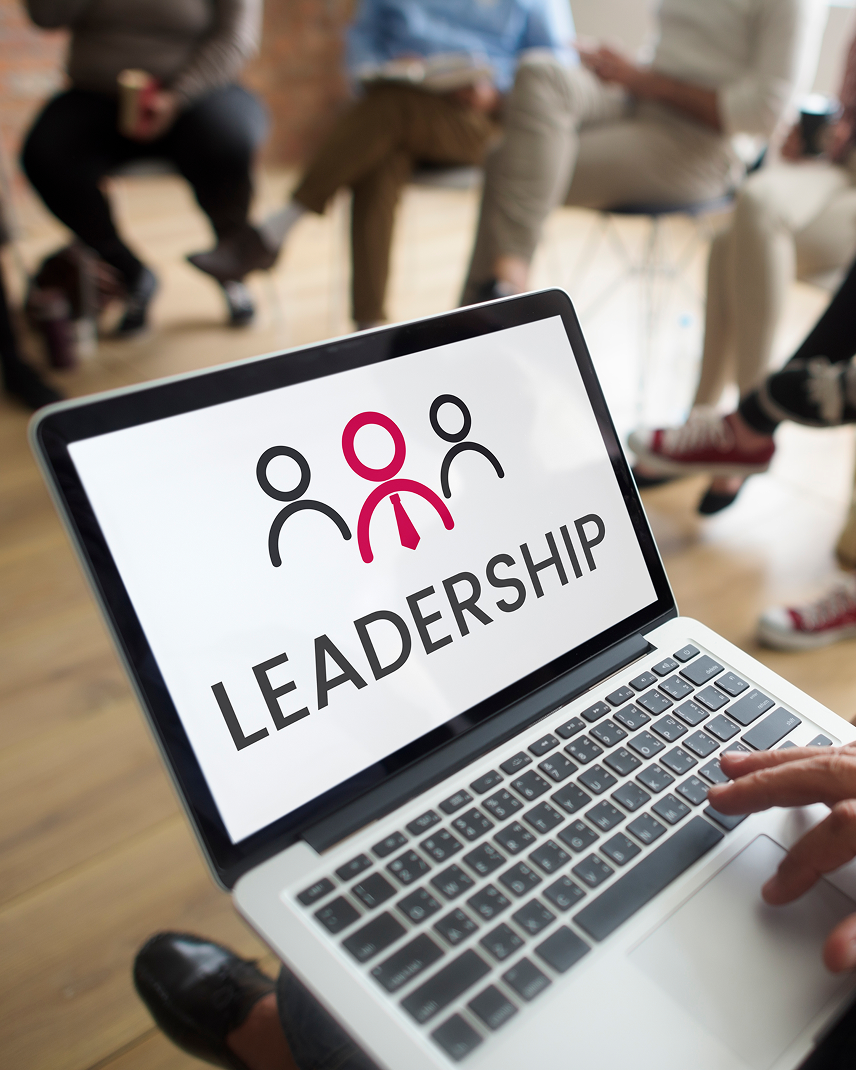 Senior leadership development and authority distribution